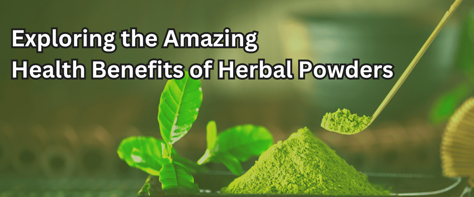 Exploring the Amazing Health Benefits of Herbal Powders