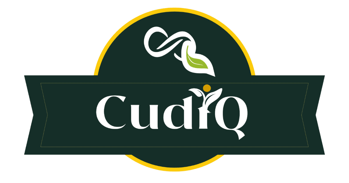 Logo Of Cudiq For Social Share