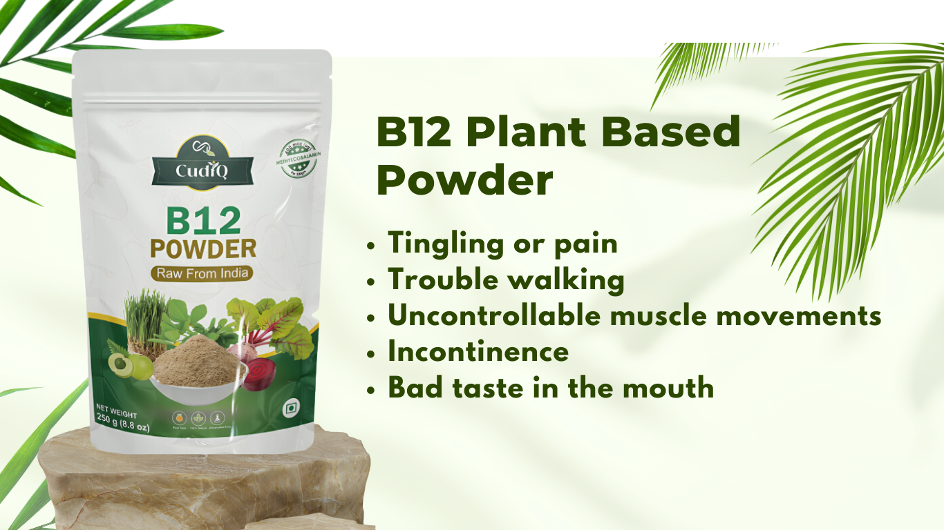 B12 Plant Based B12 Powder