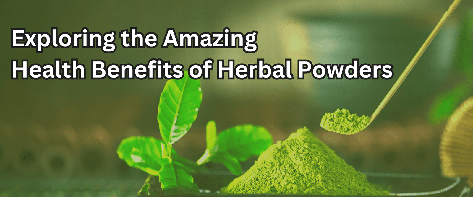 Exploring the Amazing Health Benefits of Herbal Powders – cudiq